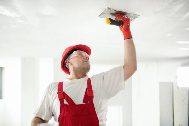 Reliable Timonium, MD Painting & Drywall Installation Solutions